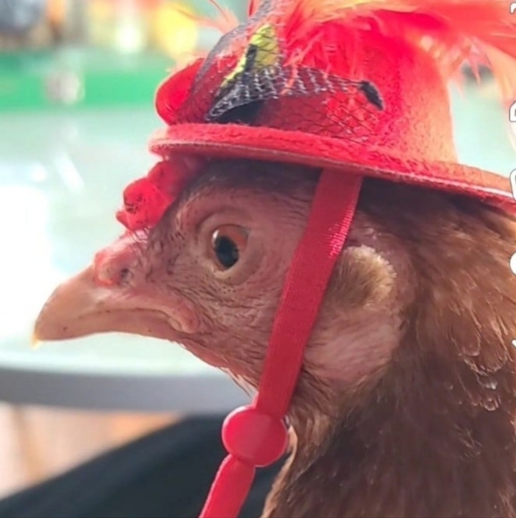 Three Homemade Organic Bees Wax Lemon Lip Balm Only 5 Ingredients - Picture 8 of 8